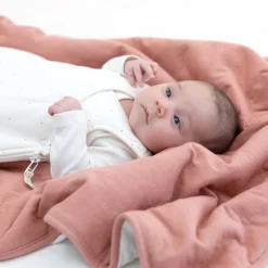 Deken Pady Tetra Jersey + Softy 75X100Cm Cadum Bambi Tog 3